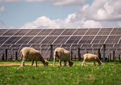 Powering the Future: vijf zonne-energietrends om in de gaten te houden in 2025